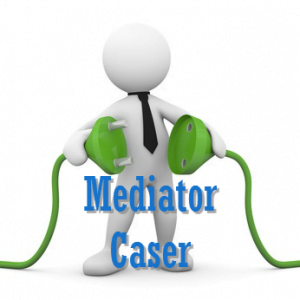 Conexmed Caser Mediator